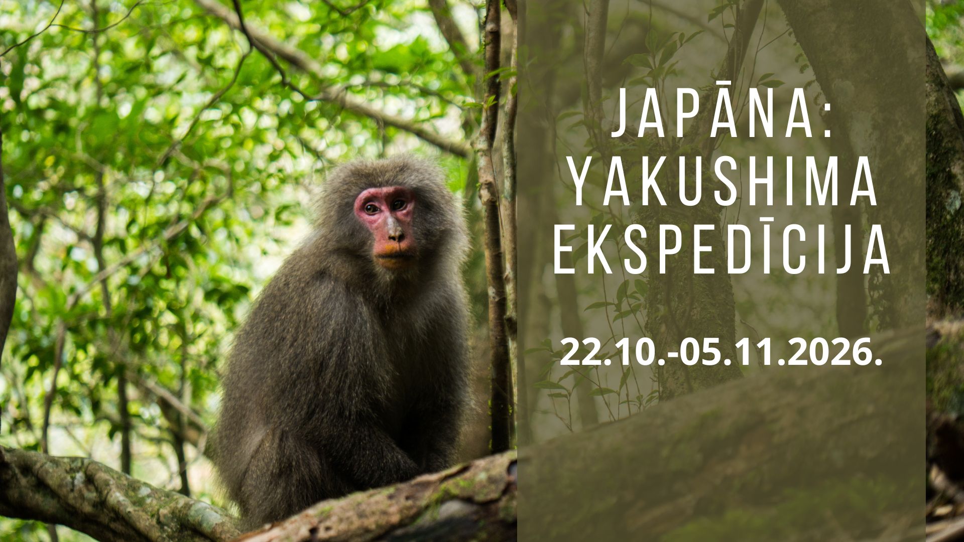 Japāna – Yakushima salas ekspedīcija