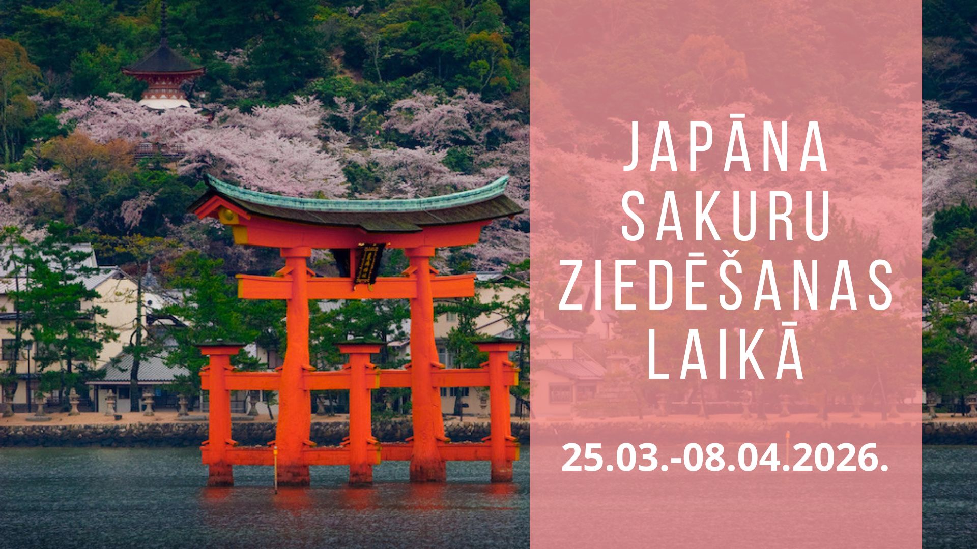 Sakuras ceļojums: pedāļi, takas un kalni!