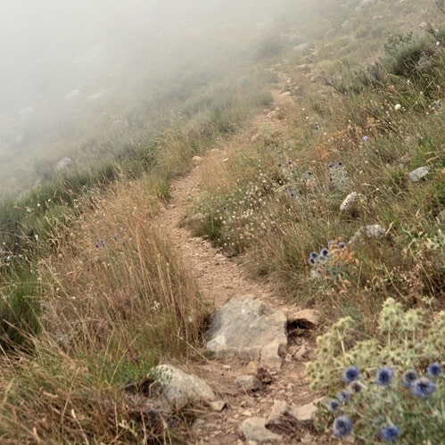 Read more about the article Kā lietot GPX failu, lai dotos pārgājienā?